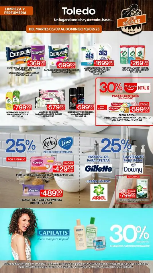 Supermercados Toledo Argentina Catálogo de productos, promociones y