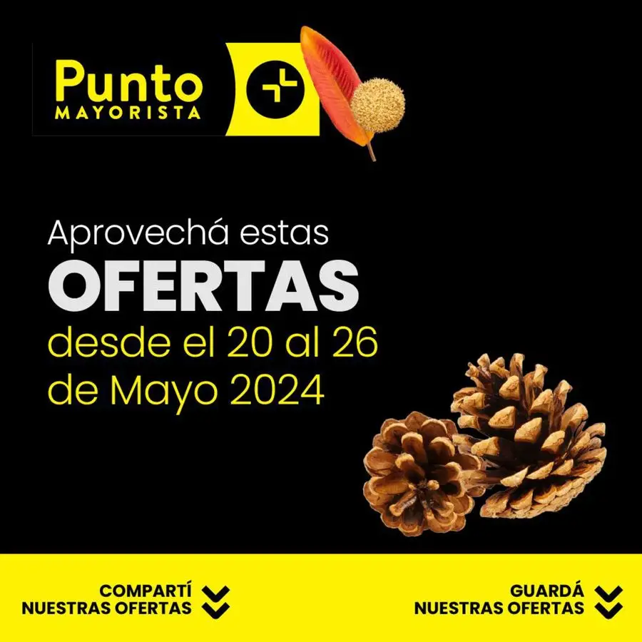 Ofertas Punto Mayorista - 1/10