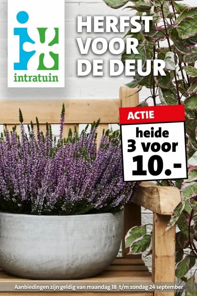 Intratuin Belgique - Catalogue de produits, promotions et remises ...