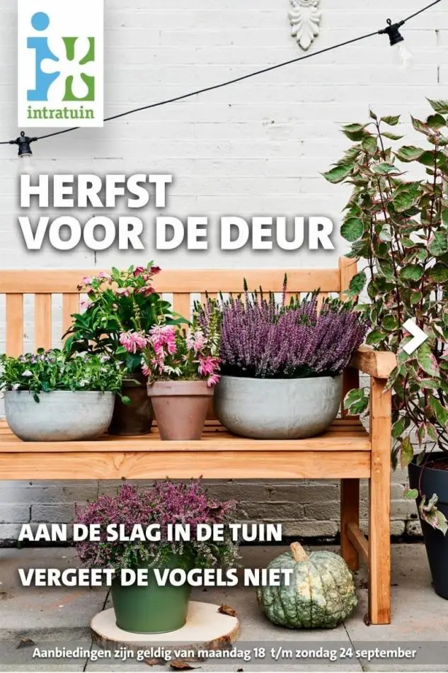 Intratuin Belgique - Catalogue de produits, promotions et remises ...