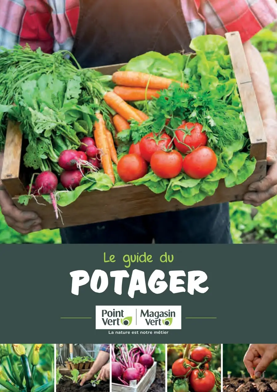 Point Vert- Le Guide du potager - 1/24