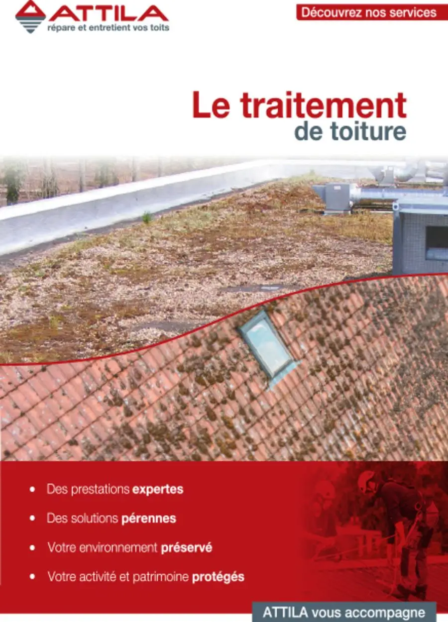 Le traitement de toiture - 1/6