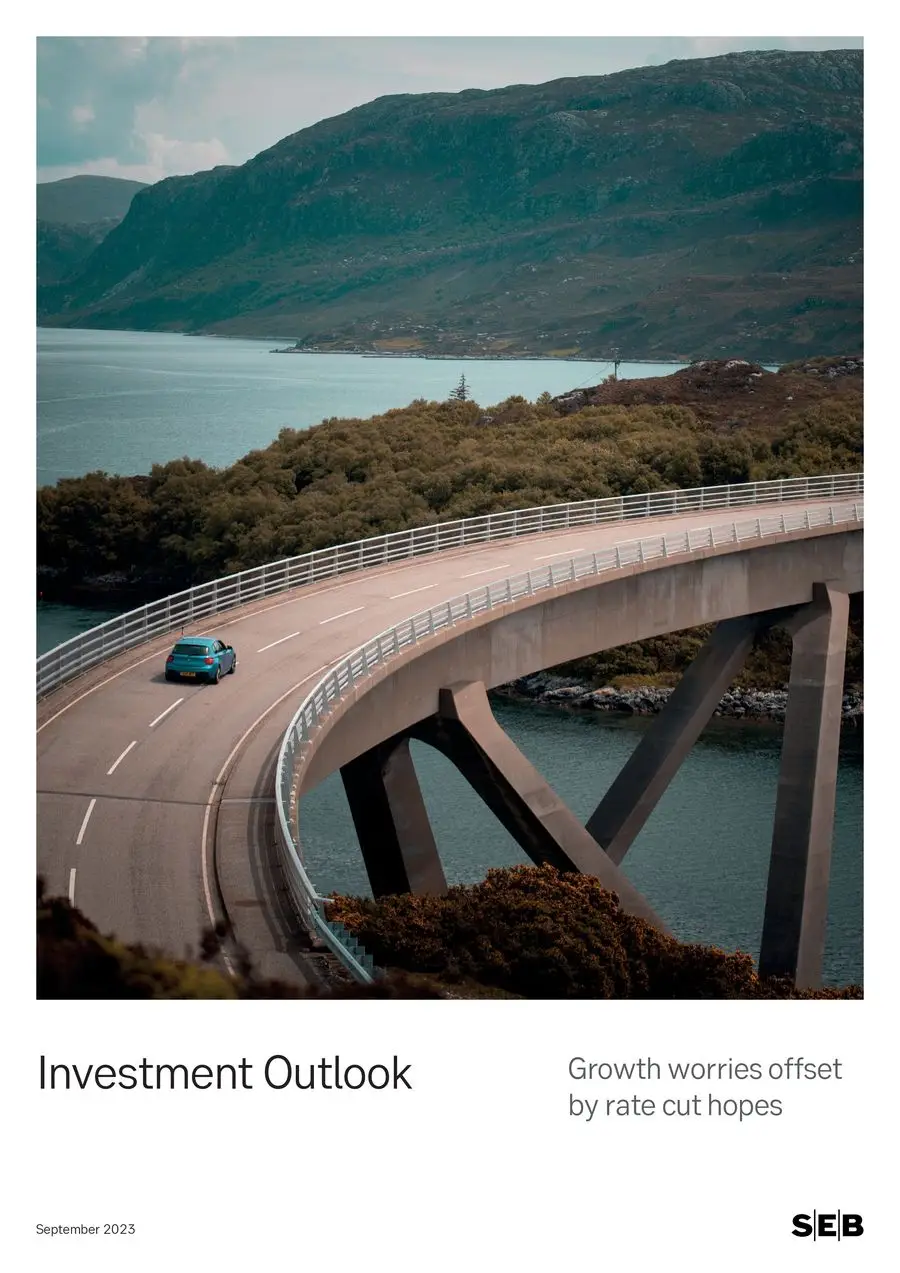 Investment Outlook - 1/36