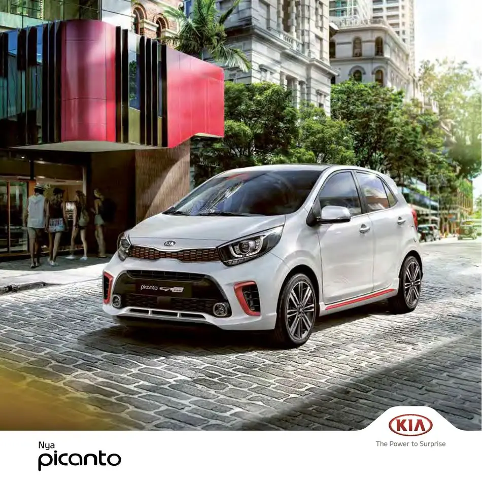 Nya Picanto - 1/28