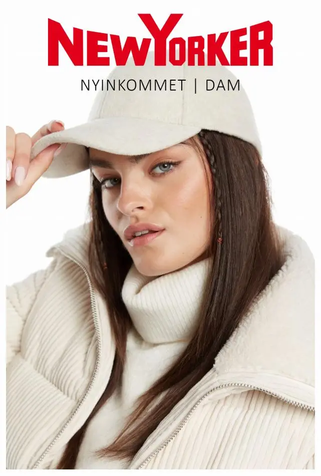 Nyinkommet | Dam - 1/12