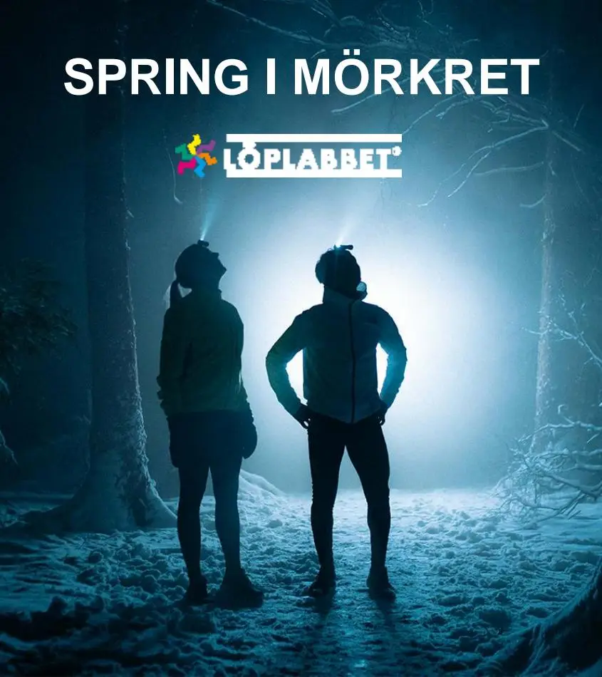 Spring I Mörkret - 1/12