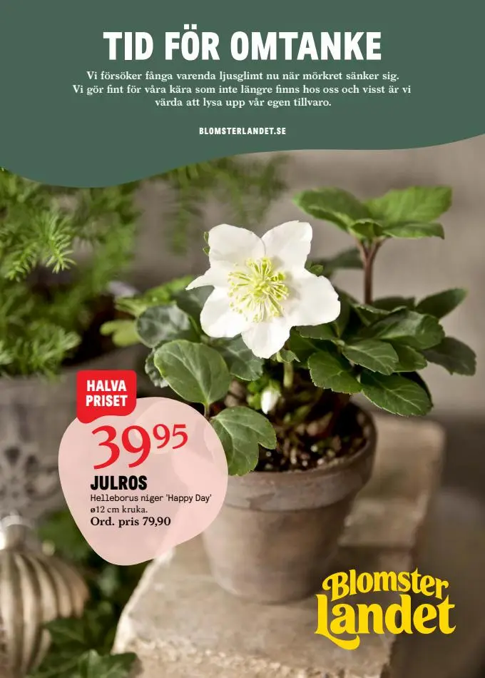 Blomsterlandet Erbjudande Aktuell Kampanj - 1/8