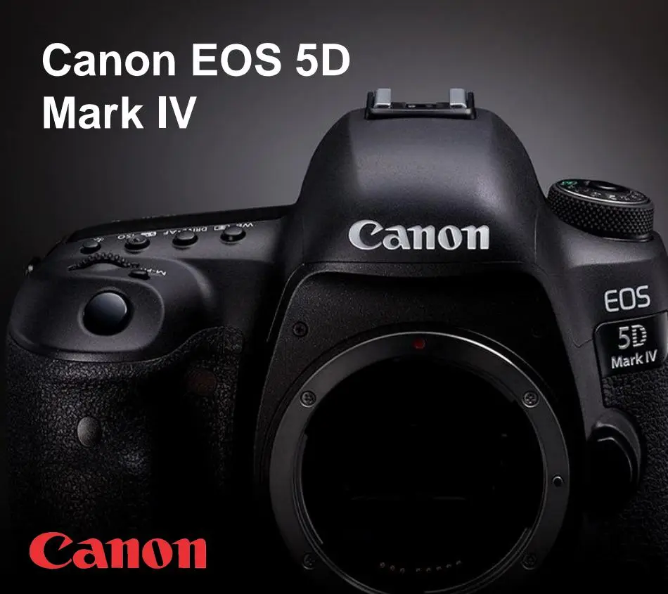 Canon EOS 5D Mark IV - 1/19