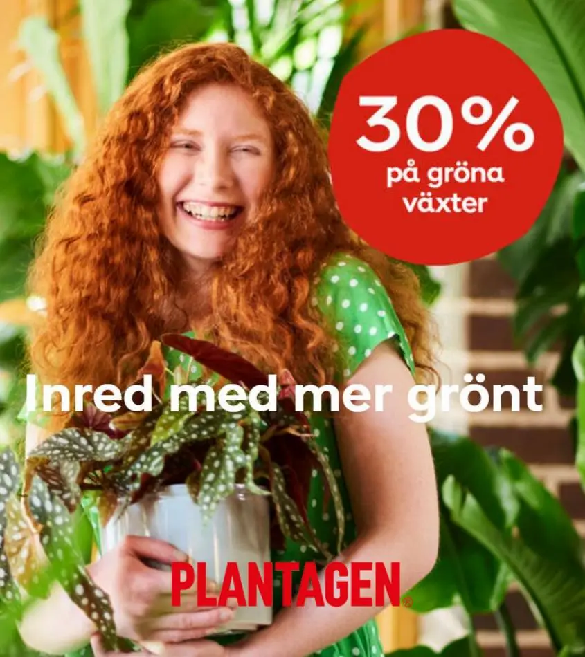 Inred med mer grönt - 1/12