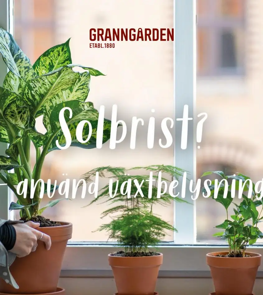 Granngården Erbjudande Kampanjer - 1/12