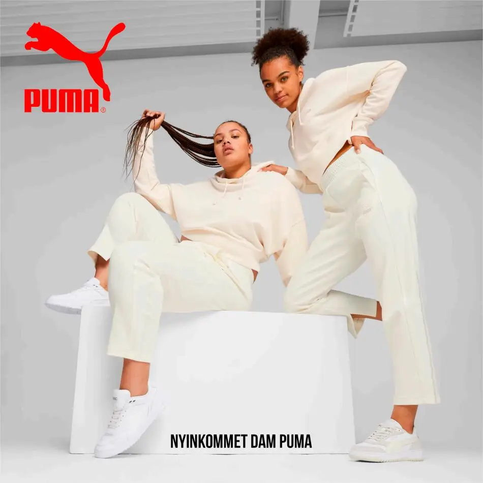 Nyinkommet Dam Puma - 1/12