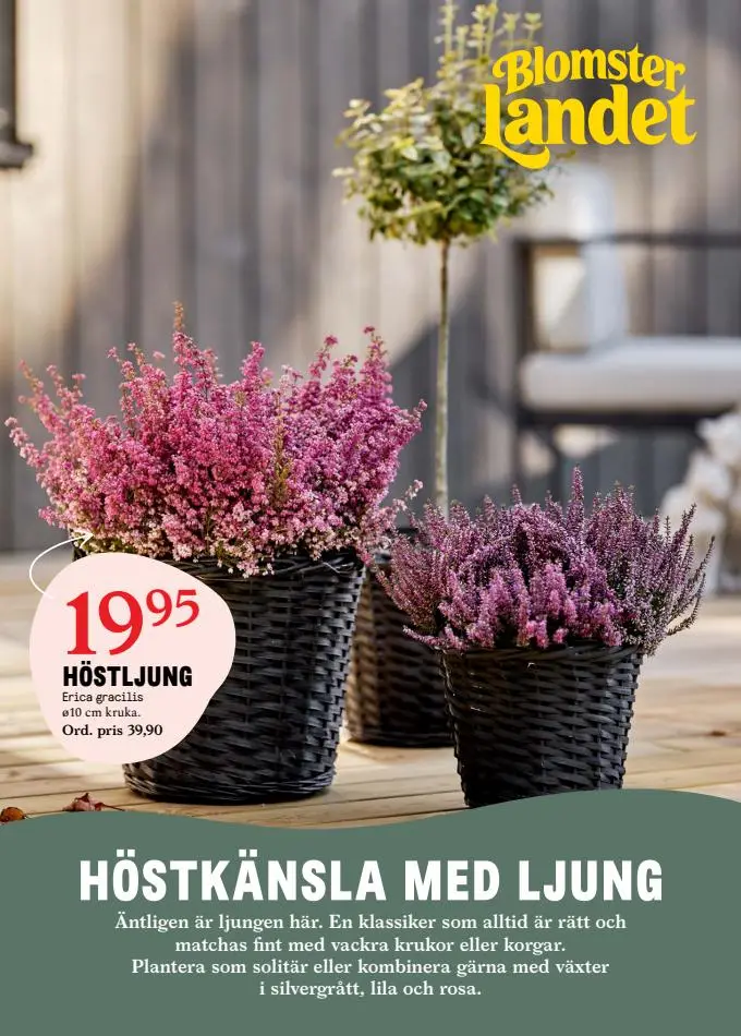 Blomsterlandet Erbjudande Aktuell Kampanj - 1/8