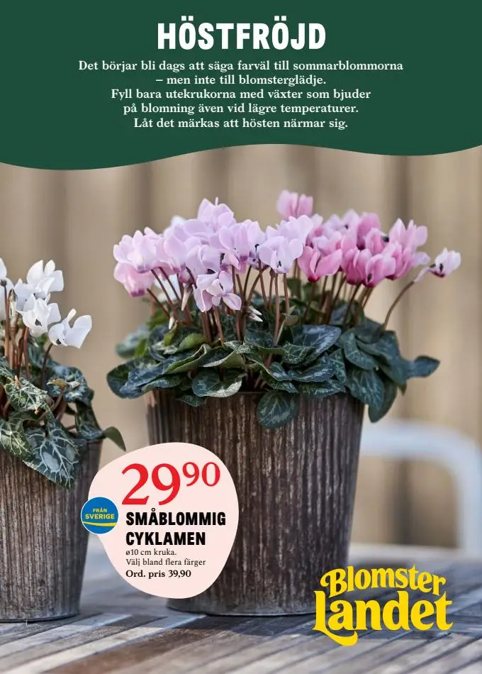 Blomsterlandet Erbjudande Aktuell Kampanj - 1/8