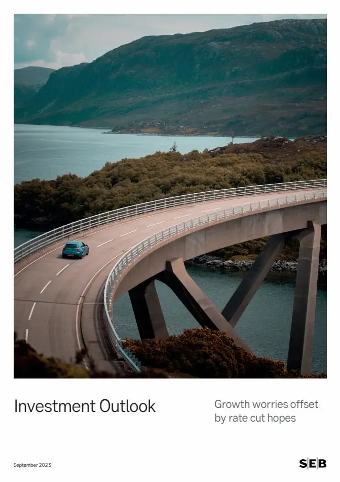 Investment Outlook - 1/36