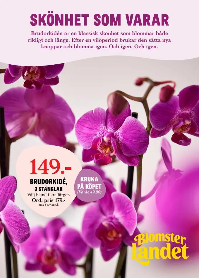 Blomsterlandet Erbjudande Aktuell Kampanj - 1/6